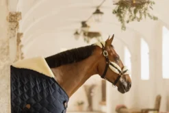 Stalldecke Comfort, 100 g, mit Kunstfell