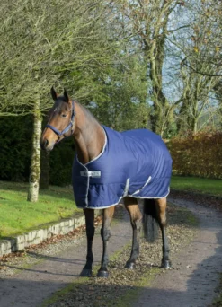 Stalldecke Freedom Stable Extra, 300 g, Winterdecke
