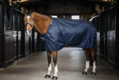 Stalldecke, 0 g