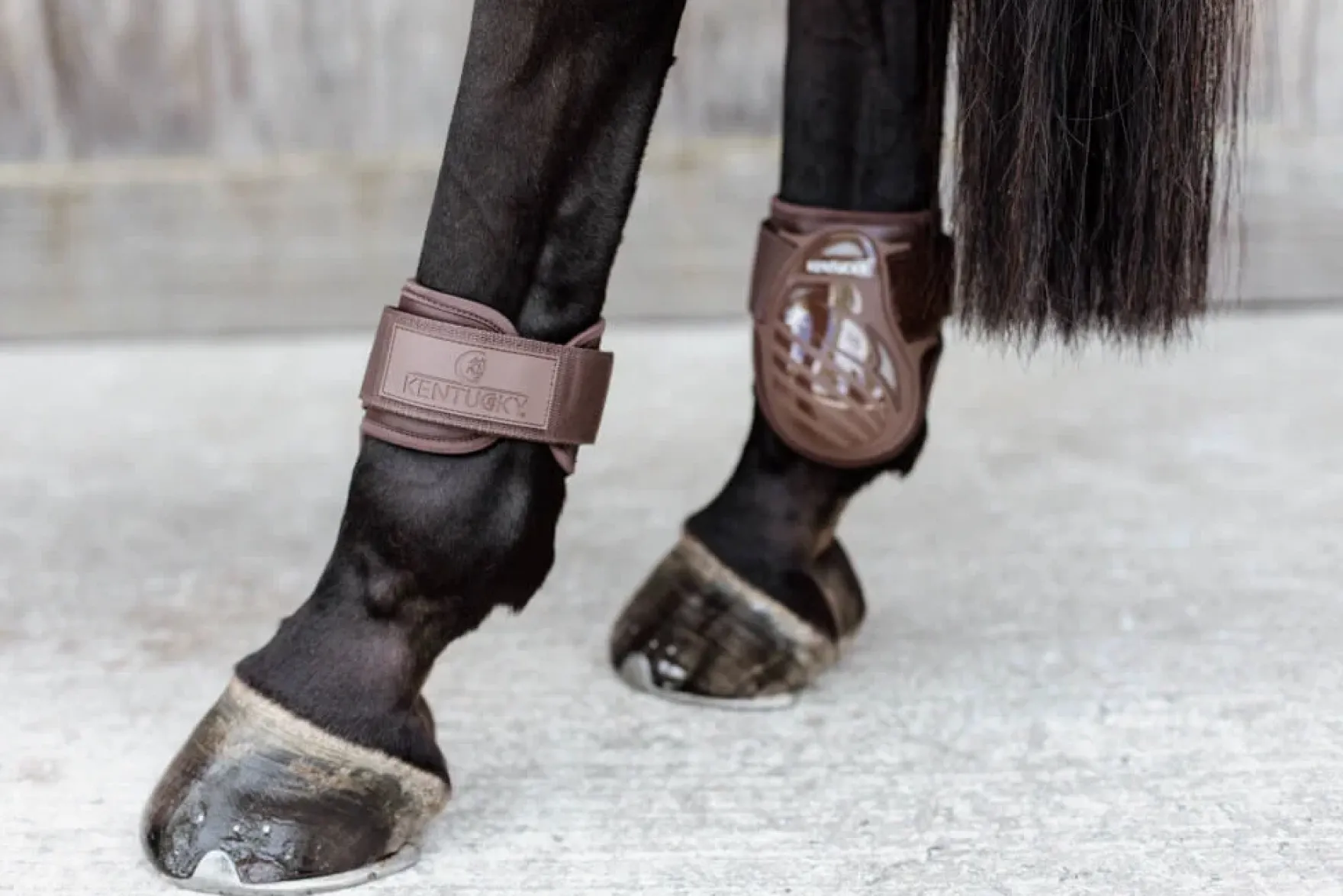 Streichkappen Young Horse