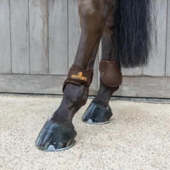 Streichkappen Young Horse Classic