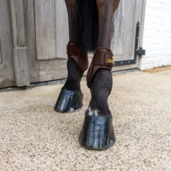 Streichkappen Young Horse Classic