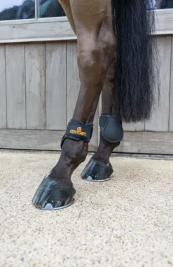 Streichkappen Young Horse Classic