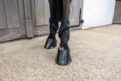 Streichkappen Young Horse Classic