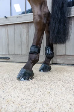 Streichkappen Young Horse Pro