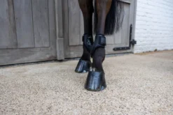 Streichkappen Young Horse Pro