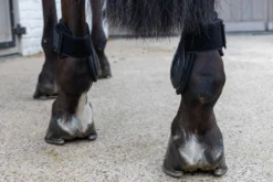Streichkappen Young Horse Pro