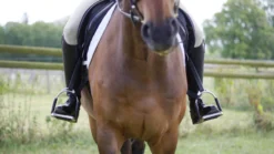 Symmetriegurte, Trainingshilfe