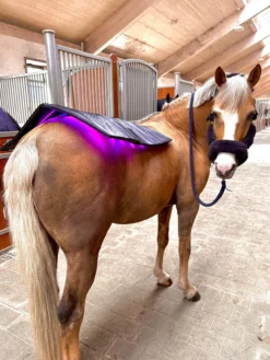 Therapiedecke LED Lichttherapie Topline