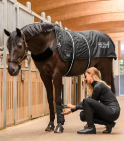 Therapiedecke TecSupreme, Heiz- und Massagedecke