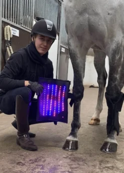 Therapiegamasche LED Lichttherapie 3.0, 1 Stück