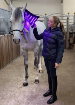 Therapiegamasche LED Lichttherapie 3.0, 1 Stück