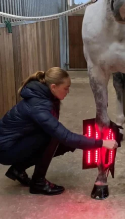 Therapiegamasche LED Lichttherapie Red Edition, 1 Stück