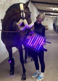 Therapiegamaschen LED Lichttherapie Supreme, App steuerbar, 2 Stück