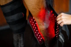 Therapiegamaschen LED-Rotlicht-Therapie FS26, Sprunggelenksgamasche, rechts