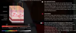 Therapiegamaschen LED-Rotlicht-Therapie FS26, 2 Stück