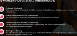 Therapiegamaschen LED-Rotlicht-Therapie FS26, 2 Stück