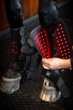 Therapiegamaschen LED-Rotlicht-Therapie FS26, 2 Stück