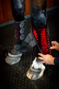 Therapiegamaschen LED-Rotlicht-Therapie FS26, 2 Stück