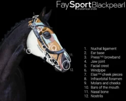 Trense FaySport Blackpearl, anatomisch, ohne Zügel