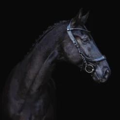 Trense FaySport Blackpearl, anatomisch, ohne Zügel