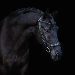 Trense FaySport Blackpearl, anatomisch, ohne Zügel