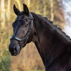 Trense FaySport Blackpearl, anatomisch, ohne Zügel