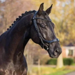 Trense FaySport Blackpearl, anatomisch, ohne Zügel