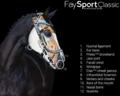 Trense FaySport Classic, anatomisch, ohne Zügel
