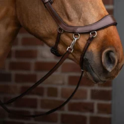 Trense FaySport gebisslos, ohne Zügel