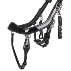 Trense FaySport Shine, anatomisch, mit Lack