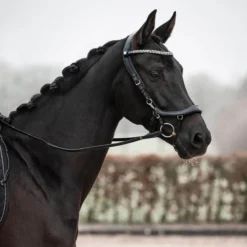 Trense FaySport Shine, anatomisch, mit Lack