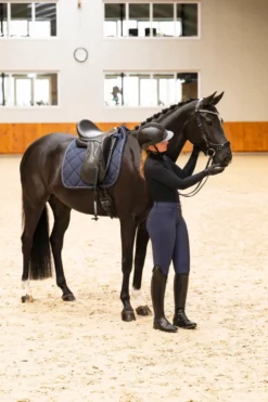 Trense FaySport Shine, anatomisch, mit Lack