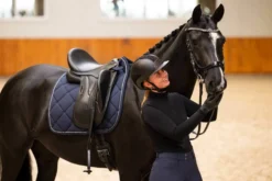 Trense FaySport Shine, anatomisch, mit Lack