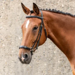 Trense Hannover, hannoveranisch, mit Zügeln