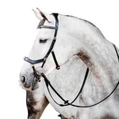 Trense Micklem 2 Multi Bridle