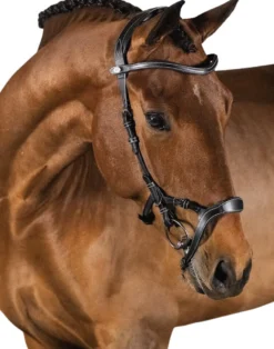 Trense Nirak, Trensen-Hackamore Kombination, ohne Zügel