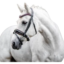 Trense Pony Diamante Flash FS26, schwedisch kombiniert, ohne Zügel