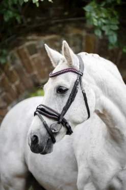 Trense Pony Diamante Flash FS26, schwedisch kombiniert, ohne Zügel