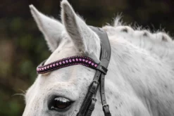 Trense Pony Diamante Flash FS26, schwedisch kombiniert, ohne Zügel