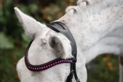 Trense Pony Diamante Flash FS26, schwedisch kombiniert, ohne Zügel