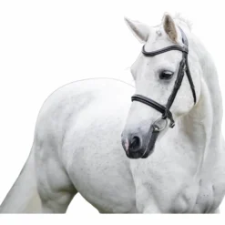 Trense Pony Flash FS26, schwedisch kombiniert, ohne Zügel