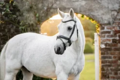 Trense Pony Flash FS26, schwedisch kombiniert, ohne Zügel