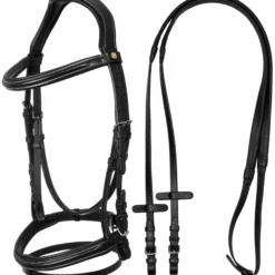 Trense Raised and Padded, englisch kombiniert, mit Zügel