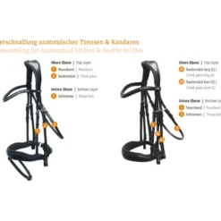 Trense Rome Select, englisch kombiniert