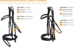 Trense Stanford, schwedisch kombiniert, ohne Zügel