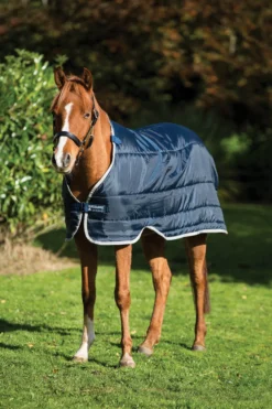 Unterdecke Pony Liner, 100 g