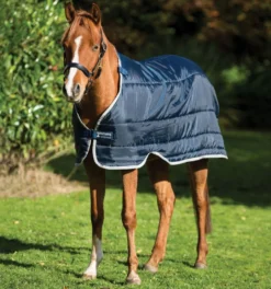 Unterdecke Pony Liner Medium, 200 g