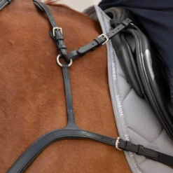 Vorderzeug Ascot, 5-Punkt, 3-Punkt