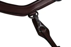 Wechselnasenriemen Fay Sport, Anatomisch